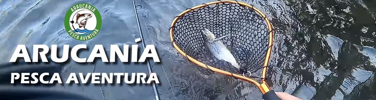 Testeando los nuevos Señuelos MickyBaits