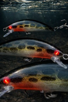 Minnow Bagre Dorado 8cm  - 12gr.